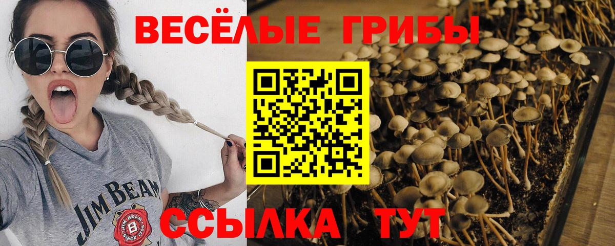 Псилоцибиновые грибы мухоморы Киров