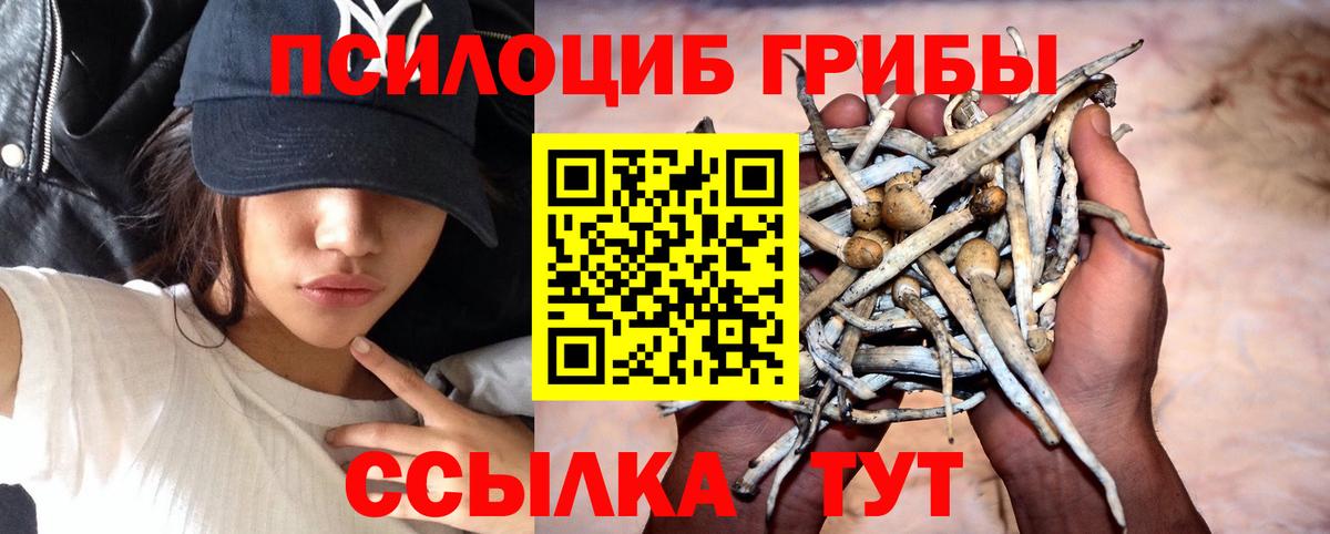 Галлюциногенные грибы мухоморы  Вход с VPN  Киров 